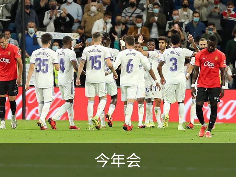 今年会概况